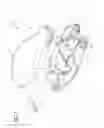Fig. 02 - Universal catheter securement device