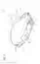 Fig. 08 - Universal catheter securement device