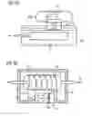 Fig. 22 - Stimulation of sexually responsive tissue of the vulva