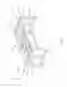 Fig. 02 - Closed-Loop Automated Chiropractic Adjustment Device