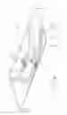 Fig. 17 - Support and mounting for surgical objects
