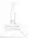 Fig. 01 - Iliac canal prosthesis