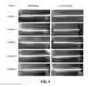 Fig. 08 - MATERIALS AND METHODS FOR TREATING CRITICALLY SIZED DEFECTS IN MOUSE BONE