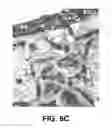 Fig. 11 - MATERIALS AND METHODS FOR TREATING CRITICALLY SIZED DEFECTS IN MOUSE BONE