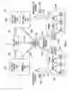 Fig. 02 - Light management system having networked intelligent luminaire managers