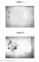 Fig. 02 - Method for separating mineral impurities from calcium carbonate-containing rocks by X-ray sorting