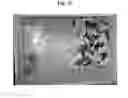 Fig. 07 - Method for separating mineral impurities from calcium carbonate-containing rocks by X-ray sorting