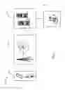 Fig. 02 - MUTABLE MOBILE TRAFFIC ROUTING SYSTEM