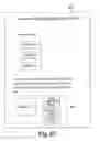 Fig. 75 - Adaptable retail pricing environment and electronic exchange, delivering customized mobile shopper rewards and discounts
