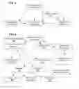 Fig. 06 - GENERATING BROWSING HIERARCHIES
