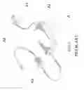 Fig. 02 - UNIVERSAL SERIAL BUS ASSEMBLY STRUCTURE