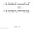 Fig. 07 - Expression cassettes for transgenic expression of nucleic acids