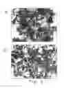 Fig. 08 - Expression cassettes for transgenic expression of nucleic acids