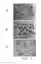 Fig. 09 - Expression cassettes for transgenic expression of nucleic acids