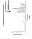 Fig. 02 - COMPOSITIONS AND METHODS FOR THE MODIFICATION OF GENE EXPRESSION