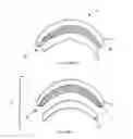 Fig. 02 - GOGGLES WITH VISCOUS FOAM SEAL