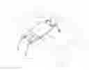 Fig. 01 - Auxiliary moving device