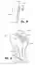 Fig. 07 - TEETHER/PACIFIER SECURING DEVICE