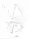 Fig. 02 - Terrestrial arthropod trap