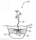 Fig. 01 - Hydration maintenance apparatus and method
