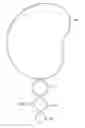 Fig. 09 - Ear Ring having a Pivotable Member