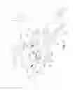 Fig. 02 - Turning machine