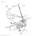 Fig. 09 - SAIL
