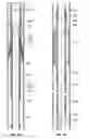 Fig. 09 - Well treatment device, method, and system