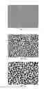 Fig. 06 - Protective structure enclosing device on flexible substrate