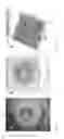 Fig. 06 - METHOD AND APPARATUS FOR PROVIDING BEAMS OF NANODROPLETS FOR HIGH SPUTTERING RATE OF INERT MATERIALS