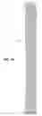 Fig. 03 - Capillary electrophoresis device