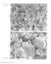 Fig. 08 - Water treatment