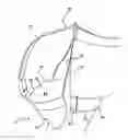 Fig. 01 - Device and Method for Carrying and Stabilizing a Helmet