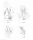 Fig. 06 - Device for scattering confetti