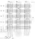 Fig. 01 - Integrated circuit array having column conductors each associated with a respective basic read circuit, and in particular a large-sized image sensor