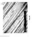 Fig. 68 - Methods for arranging nanoscopic elements within networks, fabrics, and films