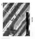 Fig. 70 - Methods for arranging nanoscopic elements within networks, fabrics, and films
