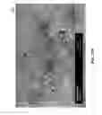 Fig. 82 - Methods for arranging nanoscopic elements within networks, fabrics, and films