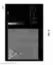 Fig. 89 - Methods for arranging nanoscopic elements within networks, fabrics, and films