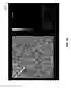 Fig. 90 - Methods for arranging nanoscopic elements within networks, fabrics, and films