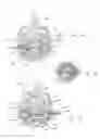 Fig. 08 - Hydraulically damped mounting device