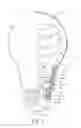 Fig. 02 - Safety protection solution for compact fluorescent lamps