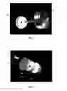 Fig. 04 - Electromagnetic Pulse Engine