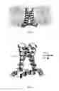 Fig. 02 - Membrane proteins, mechanisms of action and uses thereof