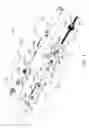 Fig. 02 - Stylus having retracted and extended positions