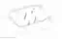Fig. 01 - Elastic constraint system for eyeglasses assembly and eyeglasses obtained by such system