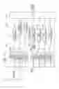 Fig. 12 - Method of adjusting line data and image forming apparatus