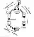 Fig. 01 - Port table flushing in ethernet networks
