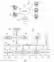 Fig. 02 - Maintaining Time Series Models for Information Technology System Parameters