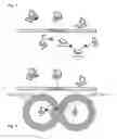 Fig. 02 - Dynamic mesh networks
